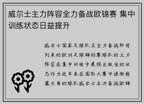 威尔士主力阵容全力备战欧锦赛 集中训练状态日益提升