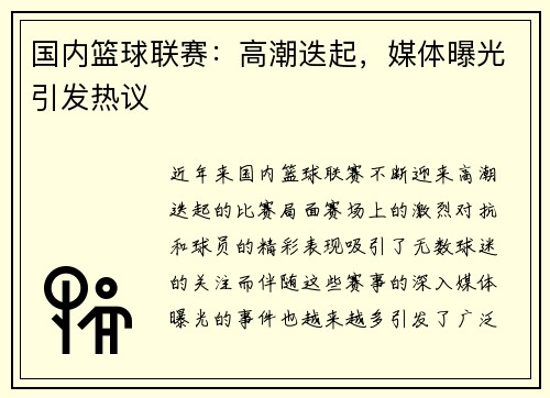 国内篮球联赛：高潮迭起，媒体曝光引发热议